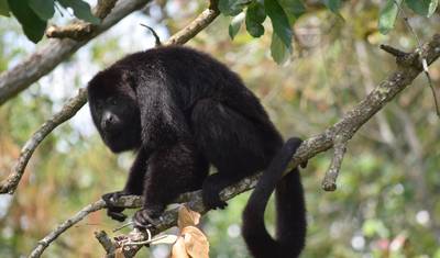 Belize Uncovered: Reefs, Ruins & Reggae — 2
