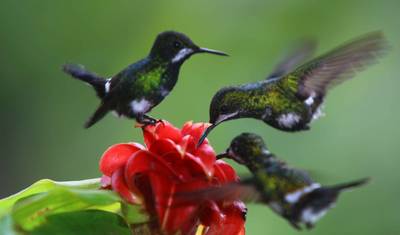 Ecuador Unveiled: Her 7-Day Solo Discovery — 4