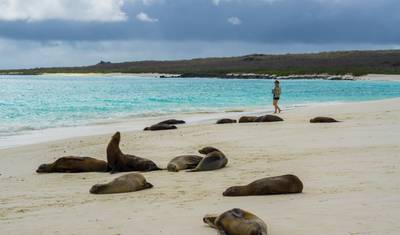 Natural Paradise Galapagos Yacht - 5 days itinerary — 3