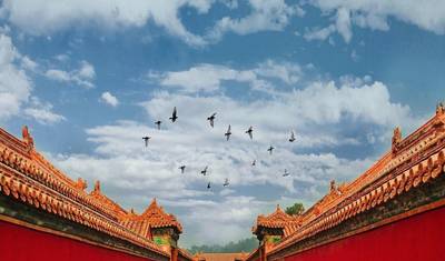 Viagem Dourada Privada de 8 Dias de Pequim, Xi'an a Xangai — 3