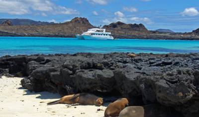 Andes to Galápagos Southern Wildlife Immersion Cruise (B) — 2