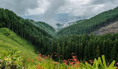 Azores: Volcanic Scenery and Coastal Routes — 3
