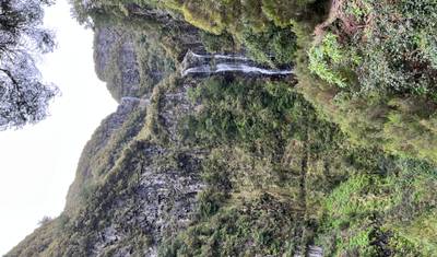Primavera Eterna: A Madeira Espera por Você — 3