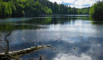 Nordic Pulse: City Break w Oslo — 5