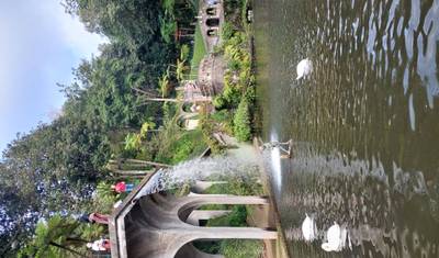 Island of Eternal Spring: Madeira — 5