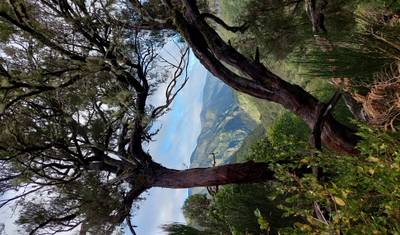 Island of Eternal Spring: Madeira — 4