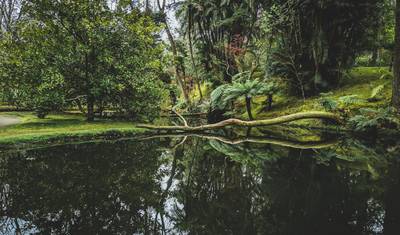 Romantic Azores: Emerald Lakes & Volcanoes — 4