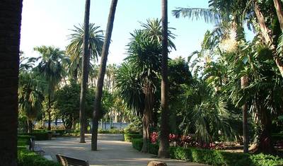 Sunny Vacation in Malaga — 5