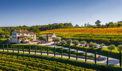 Istria - the wine route — 5