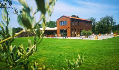 Istria - the wine route — 4