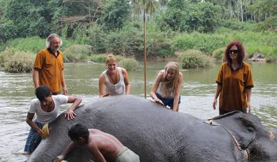 Elephant in Sri Lanka — 3
