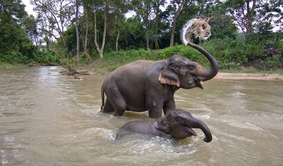Trekking in Chiang Mai - 9 days — 4