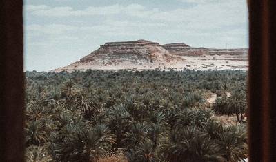 Siwa Safari: رحلة واحة عبر العصور — 4