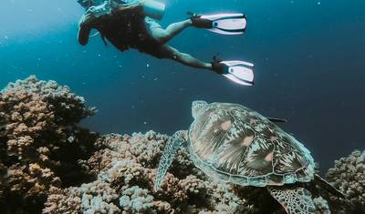 4 Days Iconic Palawan Coron Small Group Tour — 2