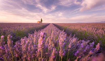 Chateau Weekend & Monet's Garden - — 3