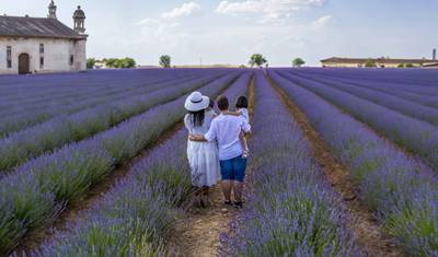Chateau Weekend & Monet's Garden - — 4