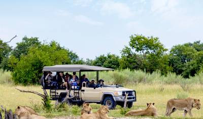Experience South Africa - from Cape Town — 2