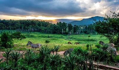Expedição Cultural e Cênica de 3 Dias em Eswatini — 2