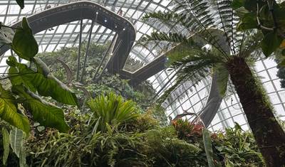 12-Day Malaysia, Borneo & Singapore Family Tour — 4