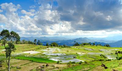 Descoberta do Sul de Sulawesi - 6 dias — 3