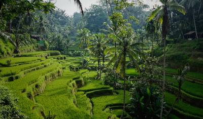 Viagem por Java a Bali - 9 dias — 3