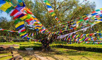 Private Lumbini Tour from Kathmandu | 3 Days — 5