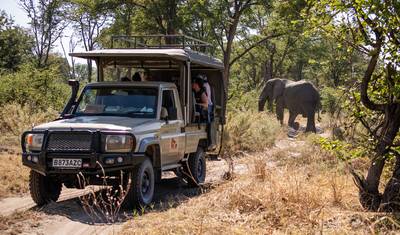 Victoria Falls, Delta & Chobe - Comfort Small Group — 2