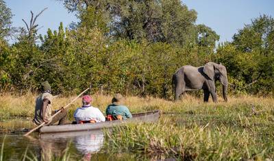 Victoria Falls, Delta & Chobe - Comfort Small Group — 4