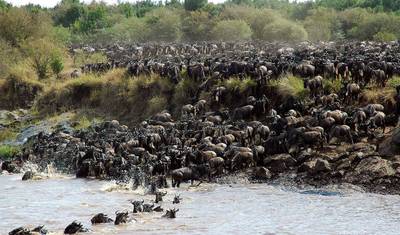 Expedição de Safari em Lodge em Grupo na Tanzânia de 6 Dias – Os Cinco Grandes e Maravilhas da Natureza Selvagem — 2