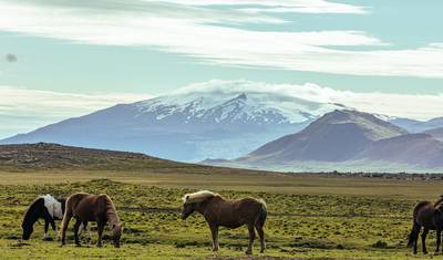 Explore Iceland: Golden Circle & Snaefellsnes Peninsula — 5