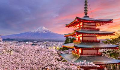 Japonia – Odkryta poza powierzchnią — 5