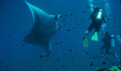 Andaman Sea Island Hopping — 5