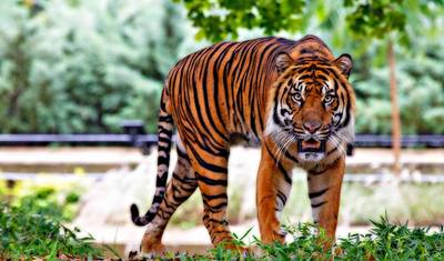 12 Days Adventurous Rajasthan Tour With Wildlife - Taj Mahal Sunset/Sunrise — 4