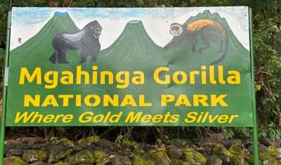 6 Day Lake Bunyonyi Shoebill Gorilla and Wildlife Safari — 4