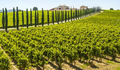 Umbria and Marche Tour: Authentic Italy Experience — 3