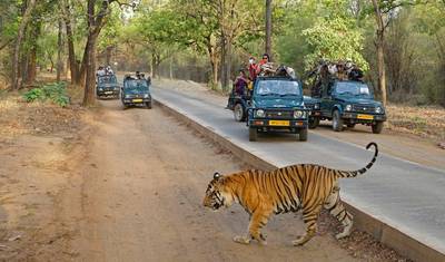 Wycieczka po Złotym Trójkącie z Ranthambore: Delhi, Agra i Jaipur – 4 noce / 5 dni — 2