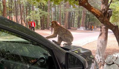 9 Days Tour from Marrakech to Casablanca — 5