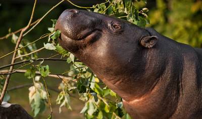 Sierra Leone Adventure: History, Culture & Nature — 2