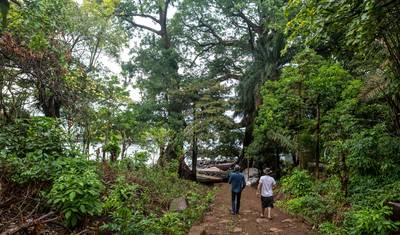 Sierra Leone Adventure: History, Culture & Nature — 3