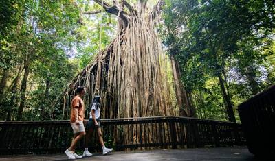 7-dniowa komfortowa wycieczka z Brisbane do Cairns z Whitsundays i Wielką Rafą Koralową — 5