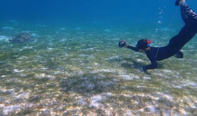 7N Maldives Turtle Snorkeling Conservation Cruise — 2