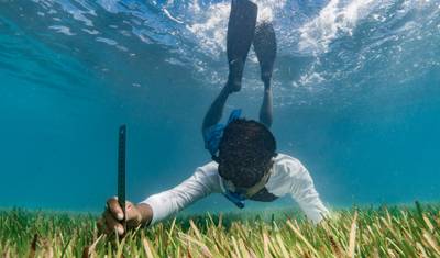 7N Maldives Turtle Snorkeling Conservation Cruise — 3
