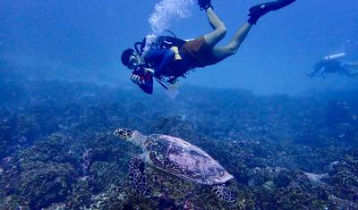 7N Maldives Turtle Snorkeling Conservation Cruise — 5