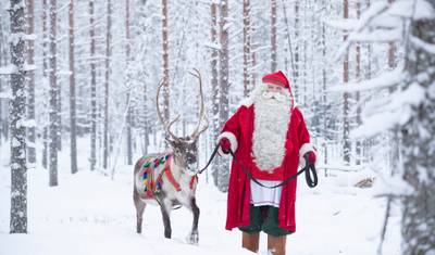 Highlight of Rovaniemi — 2