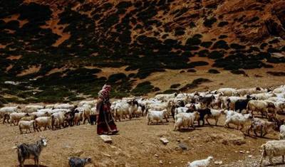 رحلة كلاسيكية إلى التبت لمدة 9 أيام مع لhasa ضمن مجموعة صغيرة (حد أقصى 15) | مغامرة باقة غرب الصين — 4
