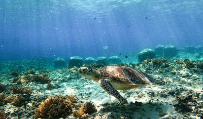 Bali to Gili Islands Explorer- 10 Days 9 Nights — 2