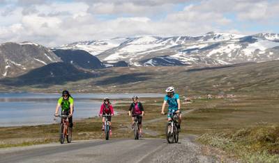 Cycling Along Mjølkevegen near Jotunheimen 8 Days — 4