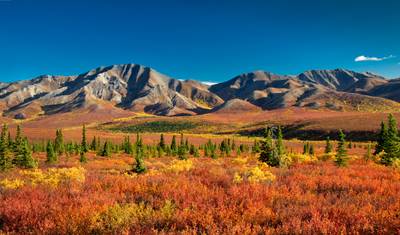 Best of Yukon & Alaska (from Anchorage) — 5