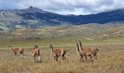 Patagonia Azul 15 Days — 2
