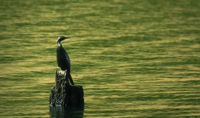 Kerala Tour Package — 5